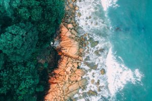 Ocean conservation in a changing world, essential for survival – Oceana 2020 - South of Metro