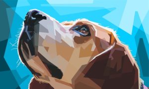 The English Setter selecting a dog for hunting 2020 - South Of Metro